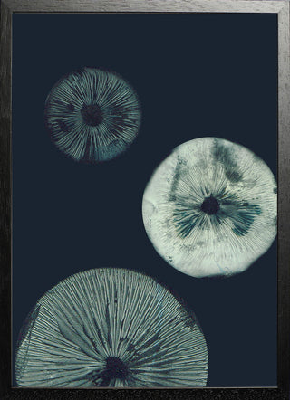Mushroom 1 Dark Teal