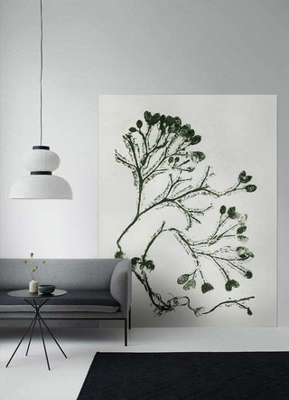 Seaweed green wallpaper