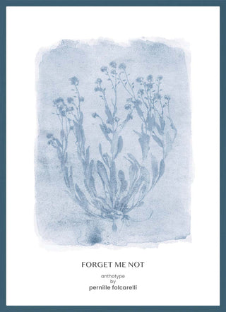 Forget-me-not Blue