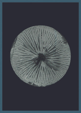 Mushroom 3 Dark Grey