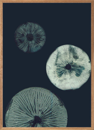 Mushroom 1 Dark Teal