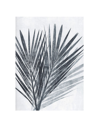 Palm Light Grey