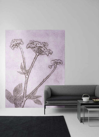 Groundelder Violet Wallpaper