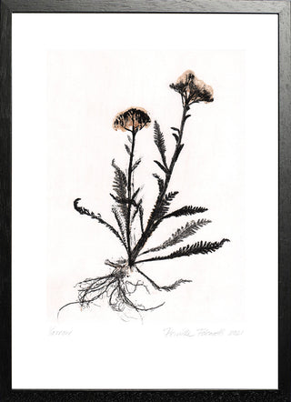 Yarrow 2 Black/White